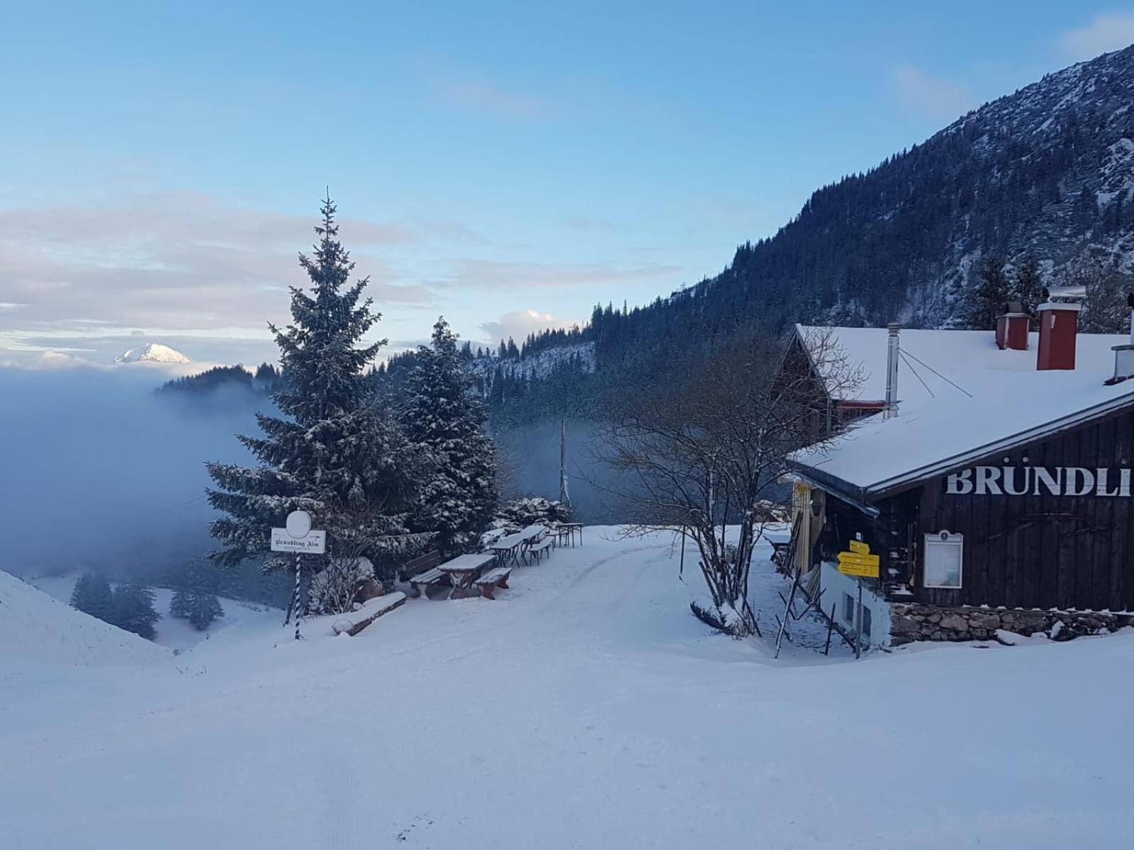 Bruendling-Alm Berggasthof Auf 1167M Auf Dem Hochfelln Hotel Bergen  Luaran gambar