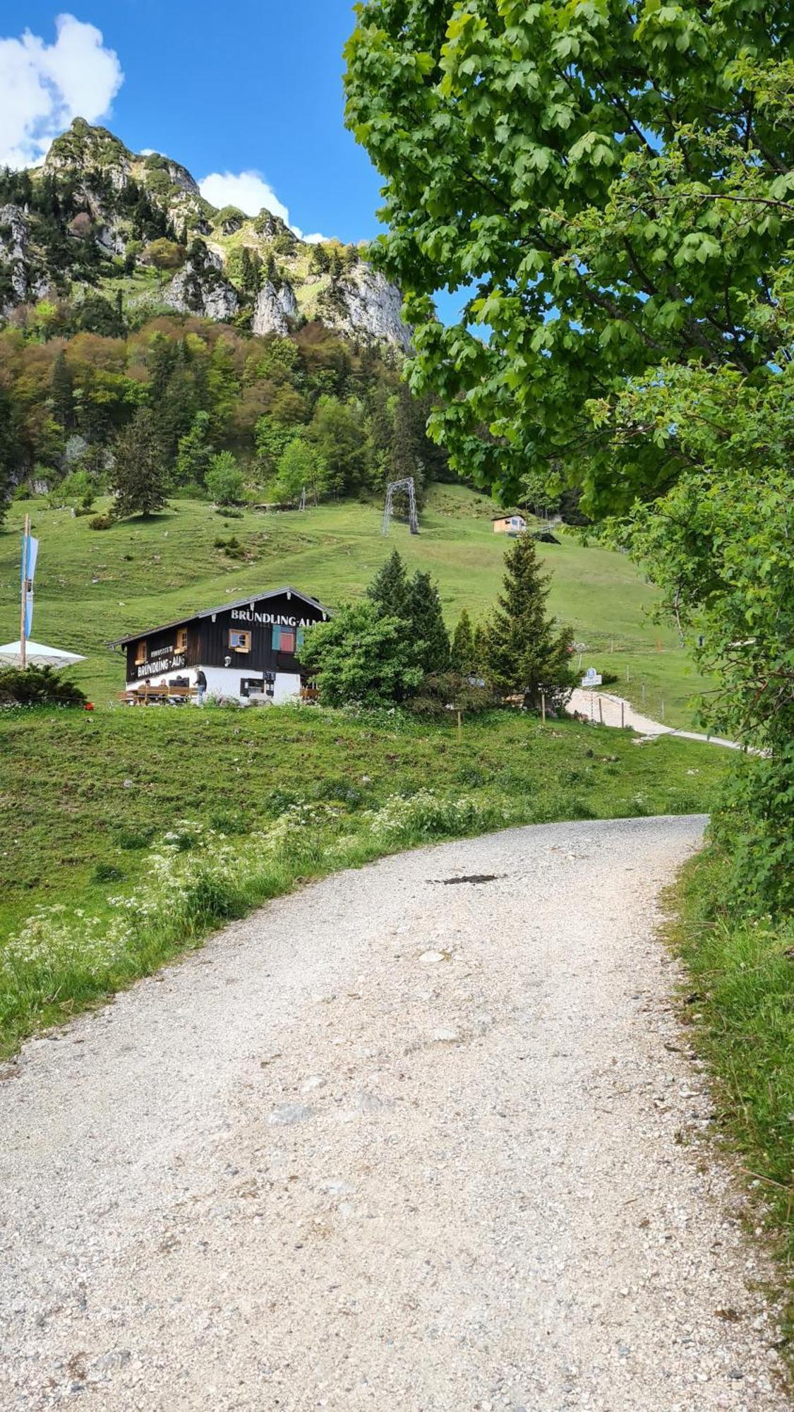 Bruendling-Alm Berggasthof Auf 1167M Auf Dem Hochfelln Hotel Bergen  Luaran gambar